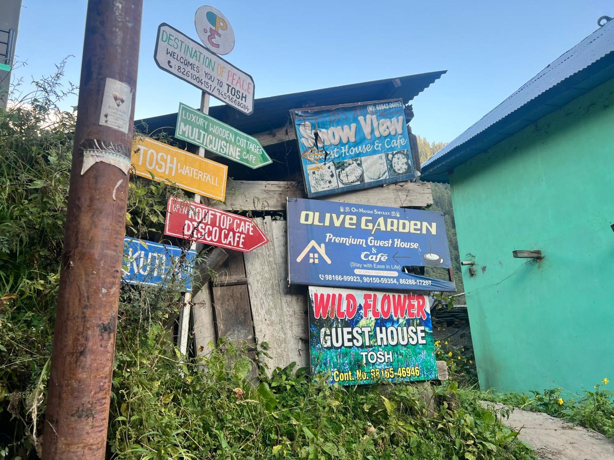 Wildflower Homestay *