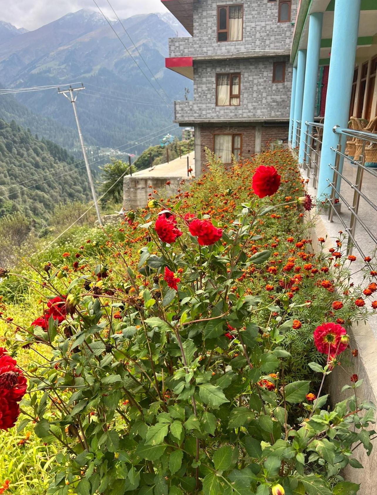 Homestay Wildflower Tosh