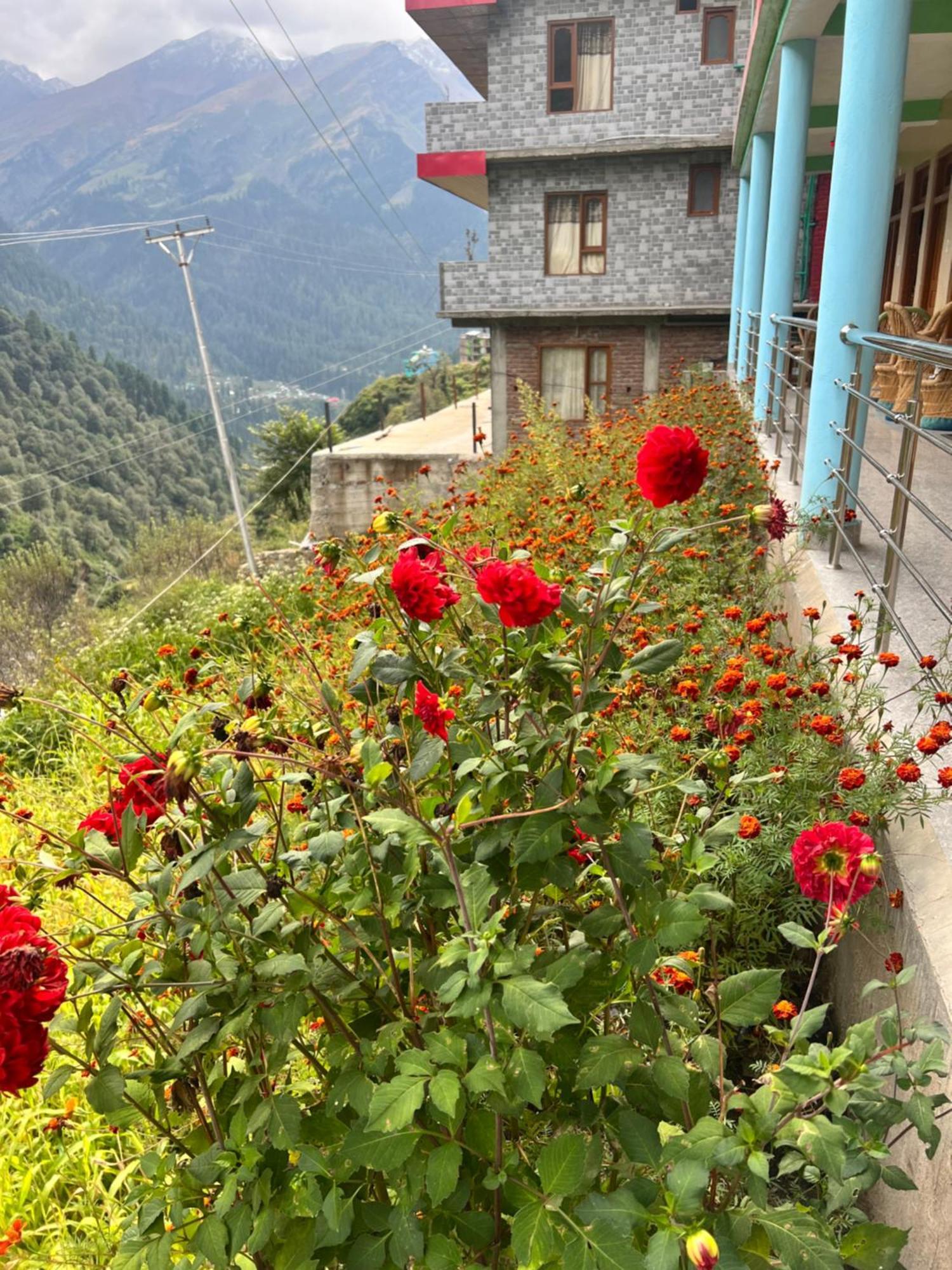 Wildflower Homestay Tosh